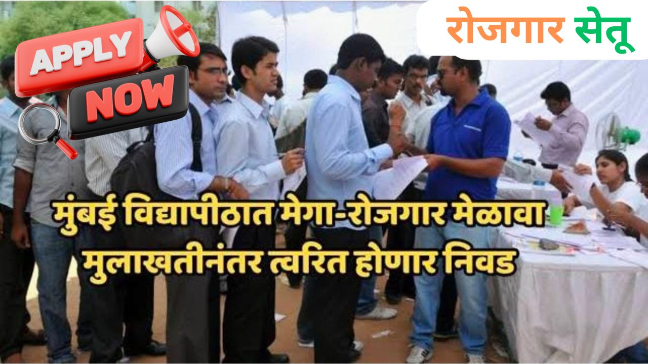 Mega job fair2025